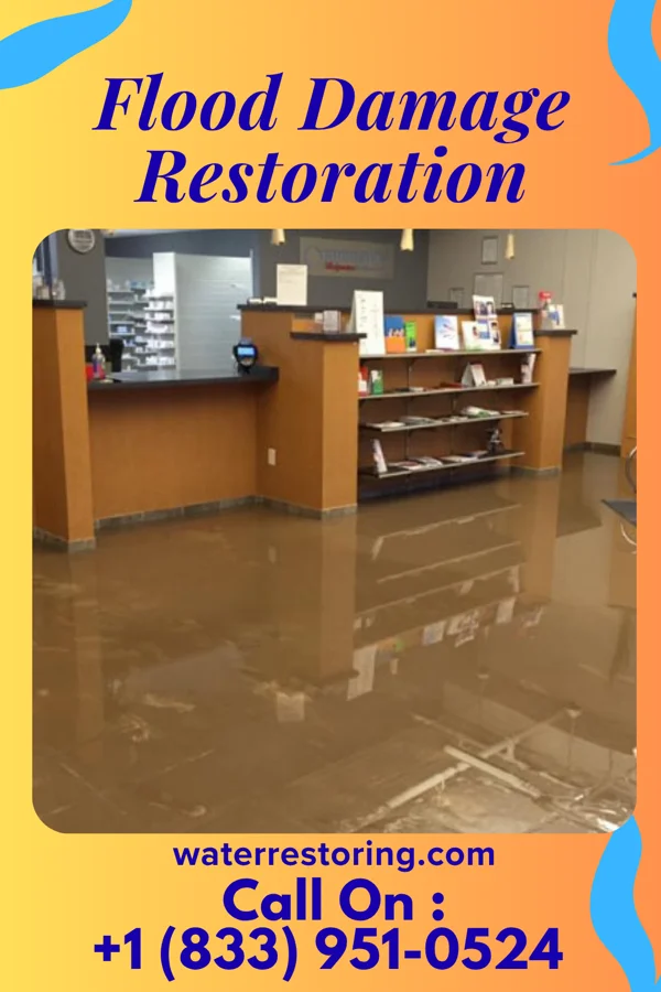 Flood Damage Restoration in Sciotodale, OH