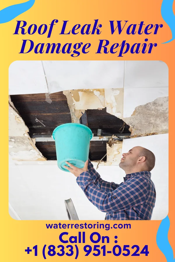 Roof Leak Water Damage Repair in Sciotodale, OH