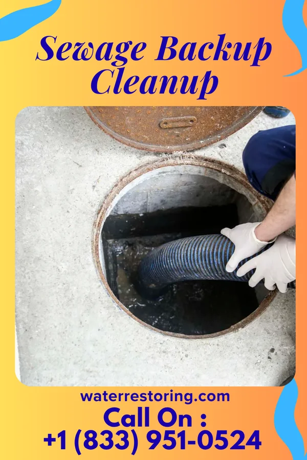 Sewage Backup Cleanup in Sciotodale, OH